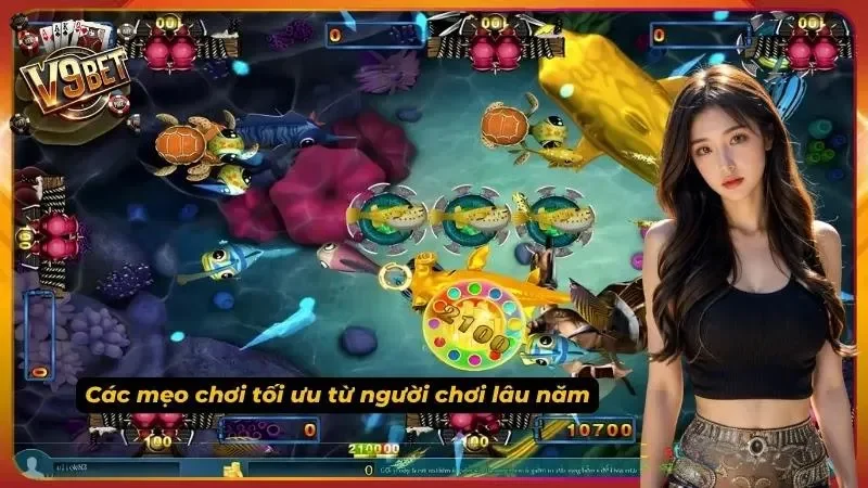 Câu Cá Phát Tài V9bet – Game Bắn Cá Hot Nhất 2026 3 Khám phá các mẹo chơi từ các tân thủ